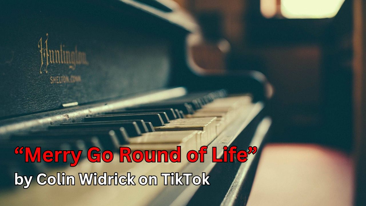 “Merry Go Round of Life” by Colin Widrick on TikTok